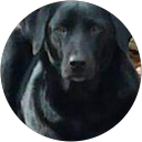 kelly mudrick's profile image