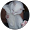 Po rk
