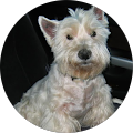 Avatar de mireille.h