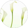 Avatar de Hélène.I