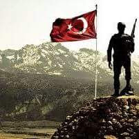 GARFİELD 43 PETSHOP foto 6