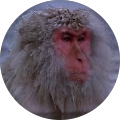 Avatar de H3ct0r.