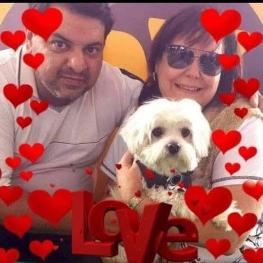 Hospital Veterinário Cura 24h - Unidade Casa Verde — foto 4