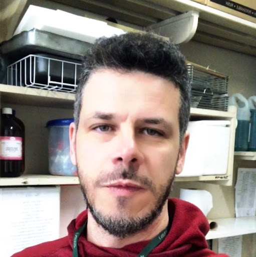 Locomovet Ipiranga - Fisioterapia e reabilitação animal — foto 4