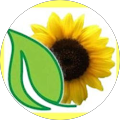 Avatar de M.