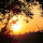 vidya shrawani's profile photo