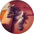 User profile - Cara Yamashita.