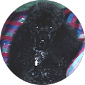 Avatar de jacqueline.t