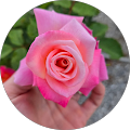 GG TRADING LLC - Margate, Florida