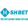 SHBet123 Top