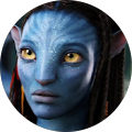 Avis de Neytiri.1 avec une note de 5 sur 5