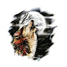 Photo of Boss Nova
