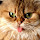 Oxy976's profile photo