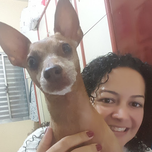 São Vet Dr Fernando Patitucci — foto 2