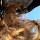 Serra Victoria Bothwell Fels's profile photo