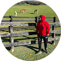User profile - Saeed Raeisi.