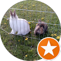 Seehotel Andree - Waldeck