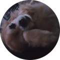 Avatar de Stéfy.i