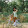 Connie A. Bradly's profile photo