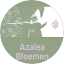 Azalea Bloemen