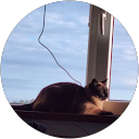 Artas Bucas profile photo
