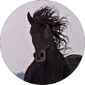 Avatar de Christa.e
