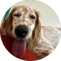 Avatar de Marceau.v