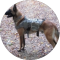 Avis de Malinois.a avec une note de 5 sur 5