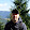 Alexey Matveev's profile photo