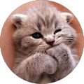 Avatar de ROUZIER.h