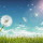 ngothuy...@gmail.com's profile photo