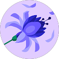 Avatar du profil de Linda Guignard
