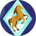 client dp