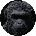 Avatar de enzo.a