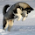 ranal's profile photo