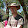 Justus Immelman's profile photo
