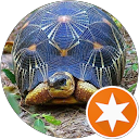 Maritza Cruz's profile image
