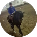 Arken Zoo Veterinärklinik i Nyköping - Nyköping