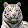 Seher Yalcin's profile photo