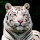 Seher Yalcin's profile photo