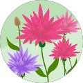 Sonic HealthPlus Canberra - Phillip, Australian Capital Territory