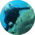 JALA asd Diving immersioni; vela scuola di vela - Aci Castello, Città metropolitana di Catania