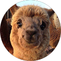 Avatar de Romain.e