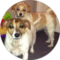 Hire Society Coach Hire, Scotland - Glasgow