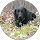 Tami Moakley profile picture