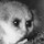 luckycharms's profile photo