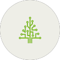Prontus - Payroll Bureau, Bookkeeping, and HR - Llandudno