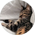 Avatar de Noelie.e