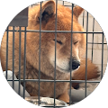 てんてん