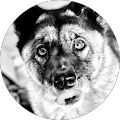 Avatar de Sacha.a